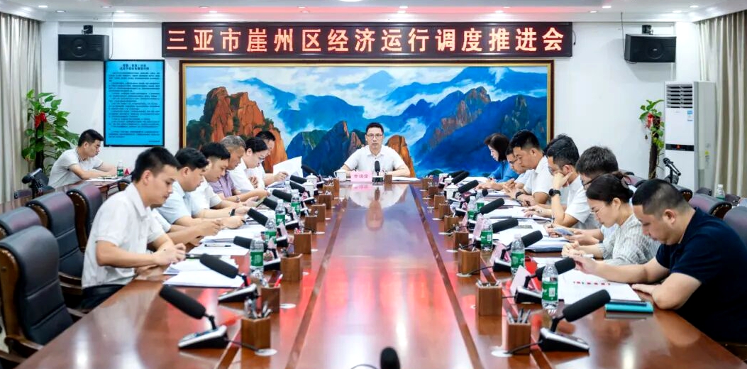崖州区经济运行调度推进会召开
